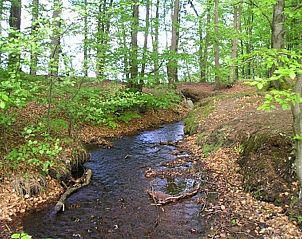 Verblijf 19617301 - Bed and breakfast Götaland - Heimdallhuset