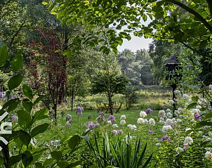 Keuken met uitzicht op tuin in DG1780 vakantiewoning in Pesse, Drenthe.