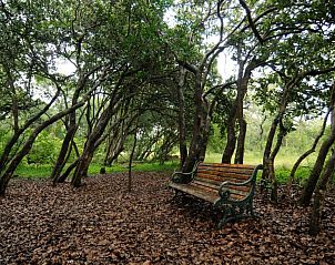 Verblijf 2026902 - Vakantiewoning Limpopo - Leshiba