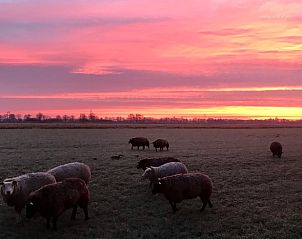 Verblijf 203102 - Vakantiewoning Zuidwest Drenthe - Vakantiehuis in Nijeveen