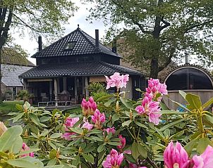 Guest house 203903 • Holiday property Zuidwest Drenthe • Huisje in Dieverbrug 