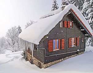 Verblijf 2042501 - Vakantiewoning Waadtländer Alpen - Vakantiehuis Chalet de la Vue des Alpes