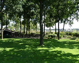 Grote tuin bij Vakantiehuis in Hoogeveen, ideaal voor buitenactiviteiten in Zuidwest Drenthe.