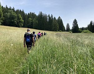 Verblijf 2046501 - Appartement Waadtländer Alpen - Appartement Maison de vacances - LM