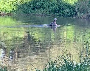 Verblijf 2126801 - Vakantiewoning Mpumalanga (Kruger Park) - Hippo Water Front Lodge