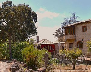 Guest house 21414401 - Holiday property Canary Islands - Casa Rural La Gustoza