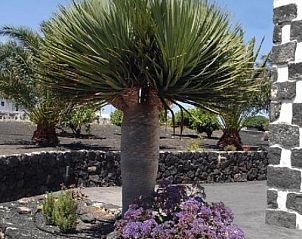 Unterkunft 21614401 • Ferienhaus Kanarische Inseln • Casa Rural Finca Isabel 