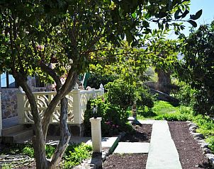 Verblijf 21714404 - Appartement Canarische Eilanden - Finca Tomás y Puri