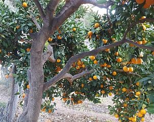 Verblijf 21714407 - Appartement Canarische Eilanden - Casa Reyes Fataga