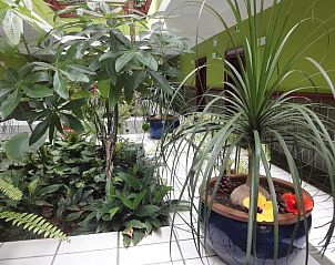 Verblijf 21814401 - Vakantie appartement Canarische Eilanden - Balneario Pozo de la Salud