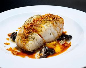 Unterkunft 22514701 - Ferienhaus Katalonien / Pyrenäen - Casa Masover