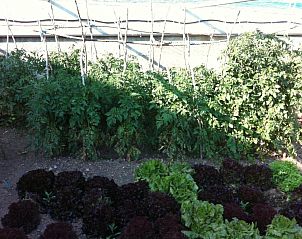 Unterkunft 22514701 - Ferienhaus Katalonien / Pyrenäen - Casa Masover