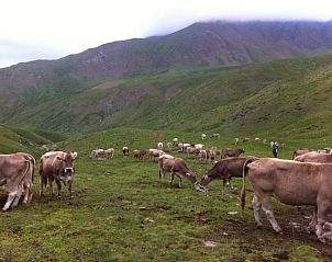Unterkunft 22514701 - Ferienhaus Katalonien / Pyrenäen - Casa Masover