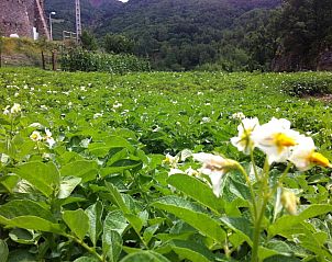 Unterkunft 22514701 - Ferienhaus Katalonien / Pyrenäen - Casa Masover