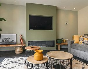 Kunstzinnige decoratie in de woonkamer van Vakantiehuis in Rijs, Friesland, met uniek olifantschilderij.