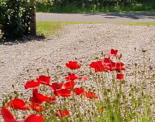 Guest house 230503 - Holiday property Friese bossen - Vakantiehuisje in Ruigahuizen