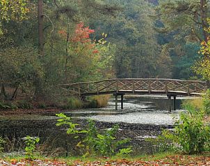 Guest house 230504 - Holiday property Friese bossen - Huisje in Ruigahuizen