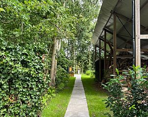 Guest house 230601 - Holiday property Friese bossen - Vakantiehuis in Siegerswoude