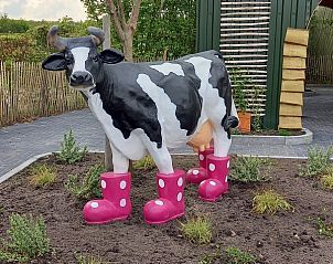 Guest house 230901 - Chalet Friese bossen - B119 de larix