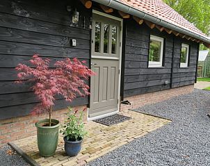Guest house 231403 - Holiday property Friese bossen - Huisje in Haulerwijk