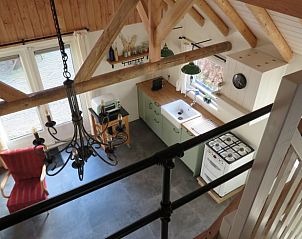 Guest house 231403 - Holiday property Friese bossen - Huisje in Haulerwijk