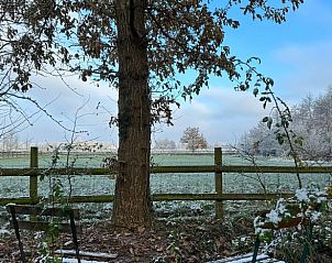 Guest house 231405 - Holiday property Friese bossen - Vakantiehuis in Haulerwijk