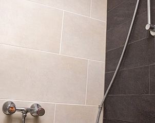 Guest house 231602 - Holiday property Friese bossen - Vakantiehuis in Hoornsterzwaag