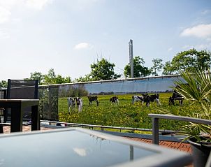 Guest house 231602 - Holiday property Friese bossen - Vakantiehuis in Hoornsterzwaag