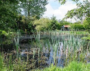 Guest house 231603 - Holiday property Friese bossen - Vakantiehuisje in Hoornsterzwaag