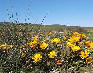 Verblijf 2327201 - Vakantiewoning West-Kaap - Darling Lodge Guest House