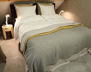 Guest house 233002 - Holiday property Friese bossen - Vakantiehuisje in Harich