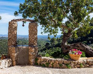 Verblijf 23516002 - Vakantie appartement Mallorca - Finca Hotel Albellons