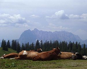 Verblijf 23603372 - Vakantiewoning Beieren - Wastl Häusl