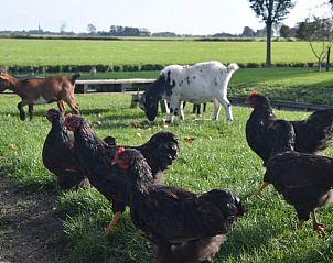 Guest house 240704 - Holiday property Friese elfsteden - Huisje in Bolsward