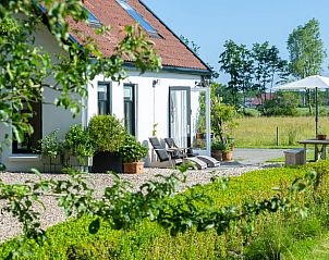 Zonnig terras bij Huisje in Wlterswld met uitzicht op Friese natuur.