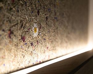 Verblijf 25003311 - Vakantie appartement Beieren - Hotel am Wald