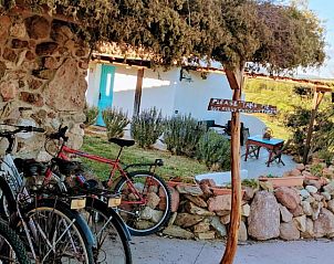 Guest house 25009301 - Holiday property Sardinia - Sa Corti De Sa Perda Piscinas