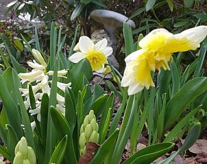 Verblijf 26017301 - Vakantiewoning Götaland - Tofvehults Boende