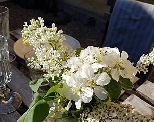 Verblijf 26017301 - Vakantiewoning Götaland - Tofvehults Boende