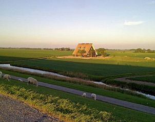 Guest house 260225 - Holiday property Het Friese platteland - Huisje in Wierum
