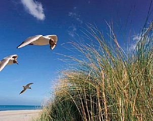 Guest house 260225 - Holiday property Het Friese platteland - Huisje in Wierum