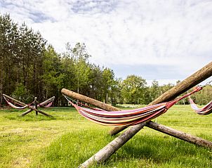 Rustgevende hangmatten in de tuin van Vakantiehuis in Blesdijke, omgeven door de natuur van het Friese platteland in Friesland.