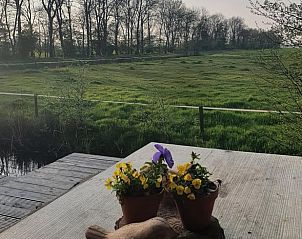 Terras van Vakantiehuisje in Rinsumageast met uitzicht op groene velden in Friesland.