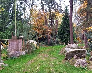 Herfstlandschap bij Vakantiehuis in Oldeholtpade, omgeven door bomen en natuur.