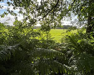Prachtig uitzicht op de natuur rondom Vakantiehuisje in Oldeholtpade, gelegen op het Friese platteland in Friesland.