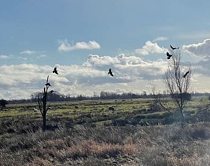Rustgevend uitzicht op het Friese platteland bij Huisje in De Westereen, vakantiehuis in De Westereen, Friesland.