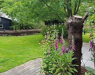 Bloeiende tuin bij Vakantiehuis in Kootstertille, Friesland, biedt een serene omgeving op het platteland.
