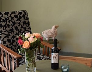 Stijlvolle zithoek in Vakantiehuisje in Munnekeburen, Friesland met bloemen en een fles wijn voor ontspanning.