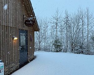 Winterse sfeer bij Vakantiehuis in Surhuisterveen met besneeuwde bomen in Friesland.