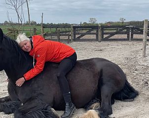 Ein Besucher umarmt ein Pferd im Cottage in Gonga, das in der friesischen Landschaft liegt.